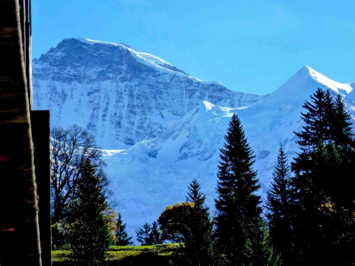 Apartment Breithorn-Residence-3 By Interhome Wengen Exterior foto