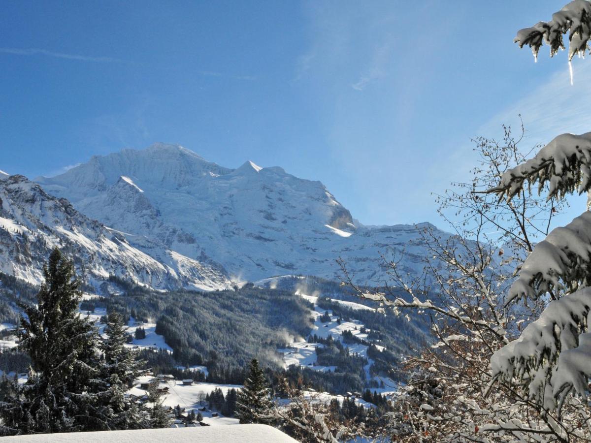 Apartment Breithorn-Residence-3 By Interhome Wengen Exterior foto